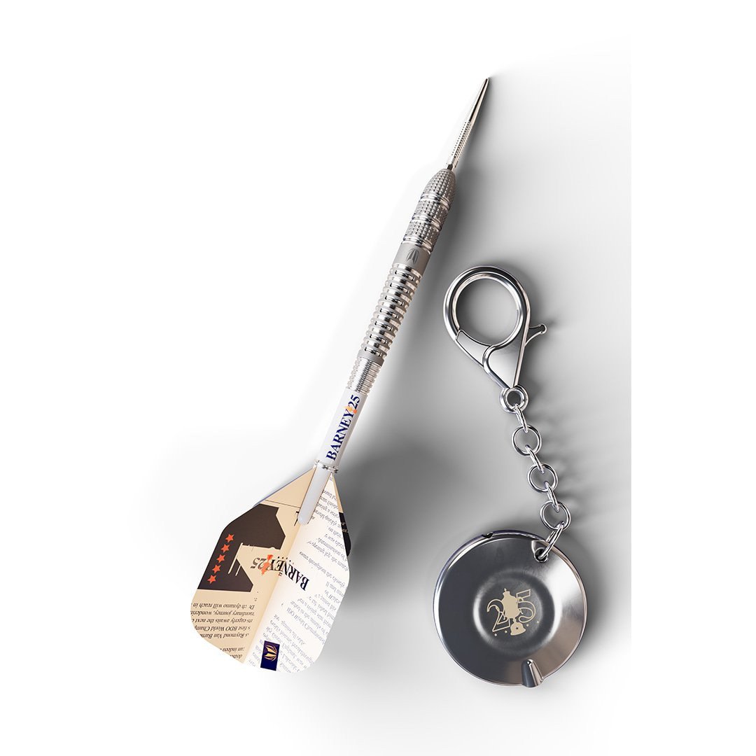 Steeldart TARGET "Raymond van Barneveld" RVB25 95%