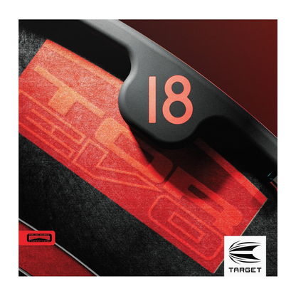 Dartboard Target Tor EVO
