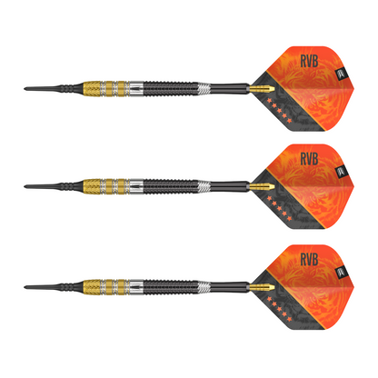 Softdart TARGET RAYMOND VAN BARNEVELD GEN 4 95%