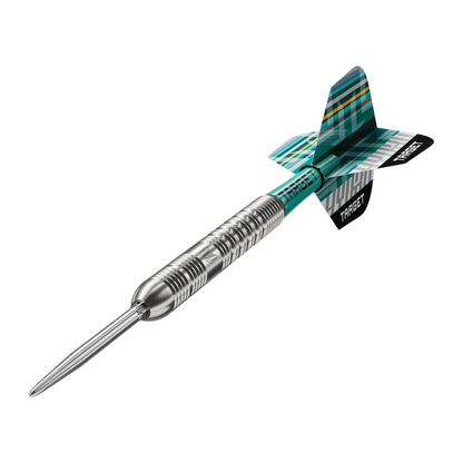 Steeldart Target Hydro 01 90% Swiss Point