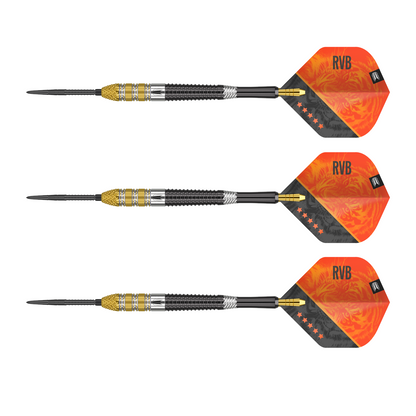 Steeldart TARGET RAYMOND VAN BARNEVELD GEN 4 95%